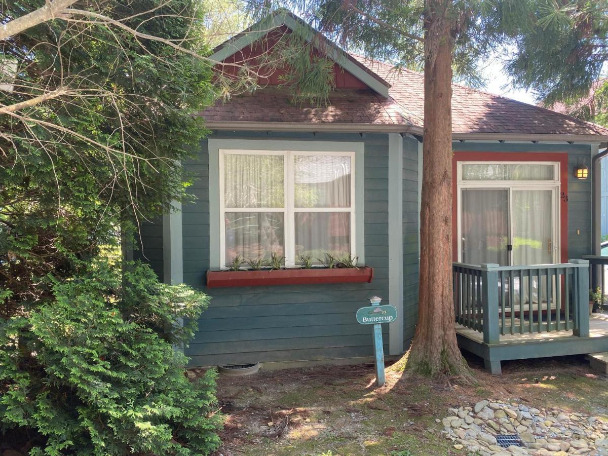 Buttercup Cottage Asheville Exterior foto